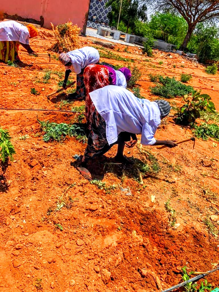 breaking down soil